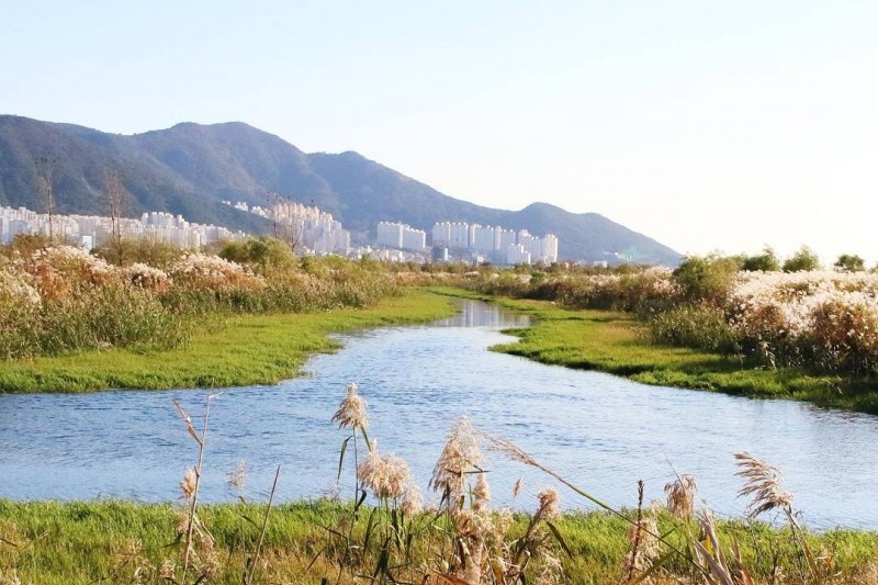 三楽生態公園 | 삼락생태공원 : トリップポーズ