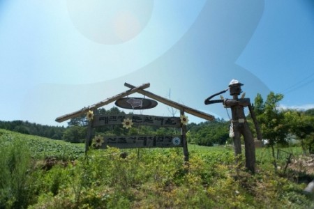 大关岭雪花村대관령 눈꽃마을