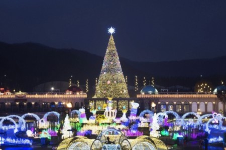 Everland Romantic Illumination 