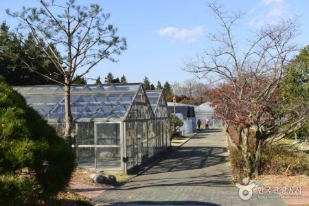 Gyeongsangbuk-do Forest Research Institute 