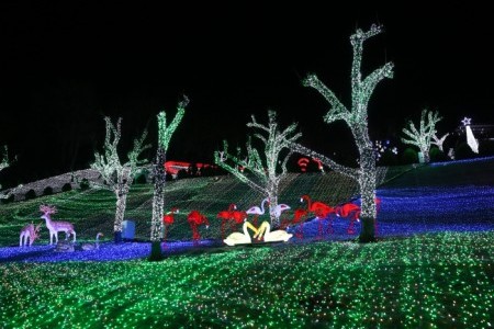 Cheongdo Provence Starlight Fairytale Town Lighting Festival (청도프로방스 별빛동화마을 빛축제)