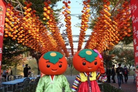 Cheongdo Seedless Persimmon Festival 