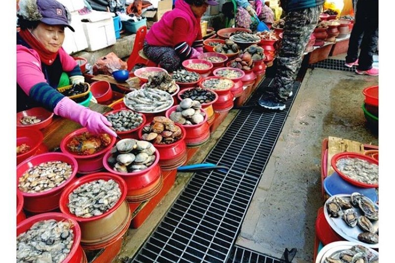 Tongyeong Jungang Market | 통영 중앙시장 : TRIPPOSE