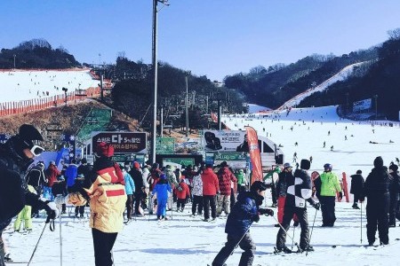 Daemyung Vivaldi Park Ski World 