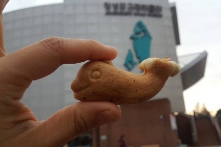 長生浦鯨魚博物館