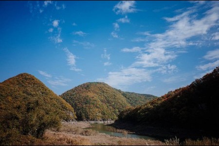 Bangudae Cliff 