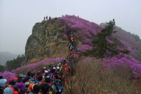 Yeongchwisan Mountain 