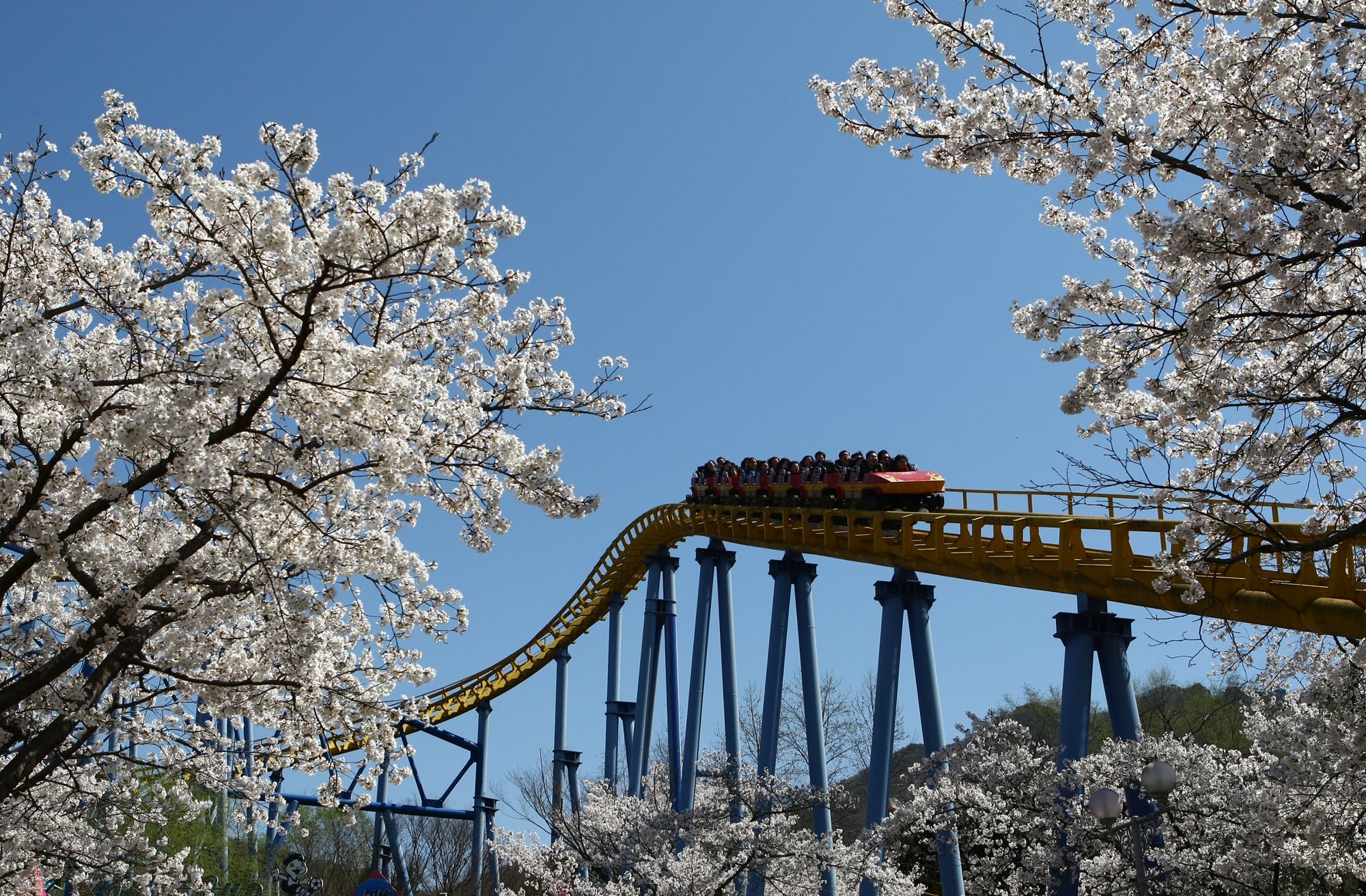 Как попасть в сеул. Seoul Land парк. Сеул Лэнд. Seoul Land. Seoul Land Tang San.