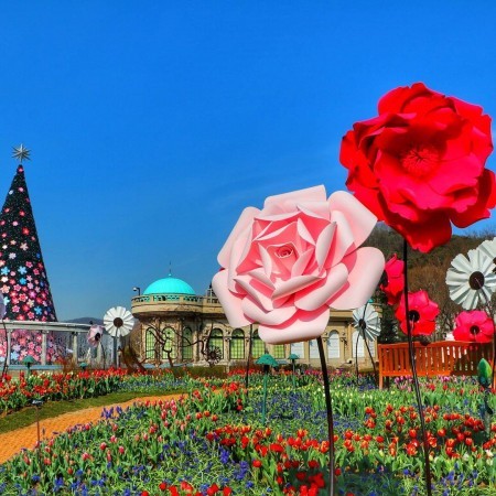 春のピクニックにぴったり! 春の花が楽しめる韓国おすすめスポット
