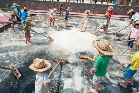 始兴河沟生态节시흥갯골축제 2017