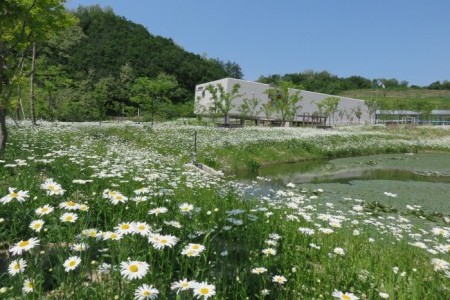 栄州 豆世界科学館（영주 콩세계 과학관）