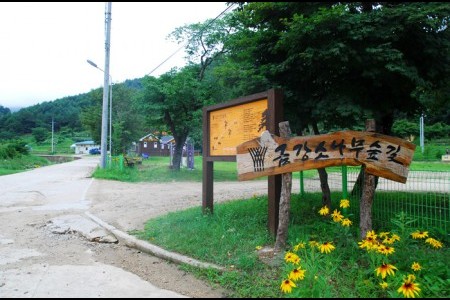 Uljin Geumgang Pine Trail 