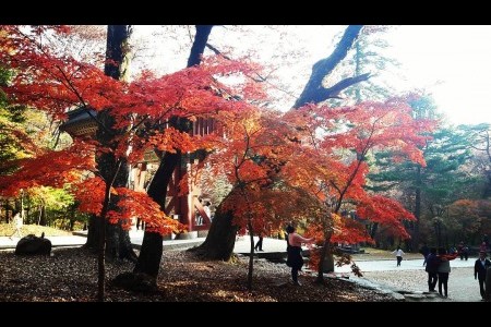 伽倻山國立公園