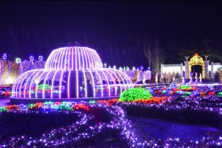 Byeokchoji Botanical Garden Lighting Festival 