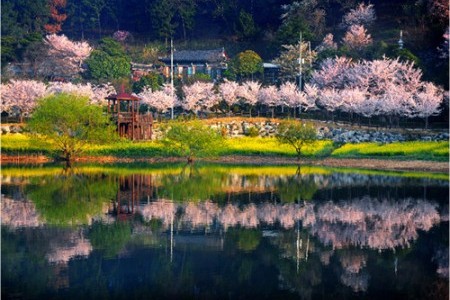 Seonam Lake Park 