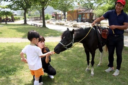 Let's Run Park Jeju 