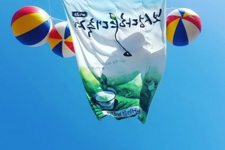 Boseong Green Tea Festival 