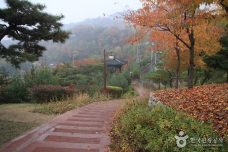 仁王山清雲公園迎日節