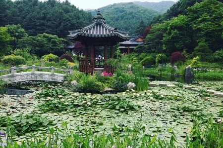 Nami-Island One Day Tour