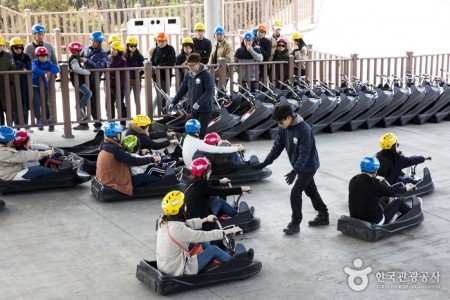 Skyline Luge(스카이라인 루지)