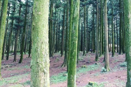 思連伊森林步道