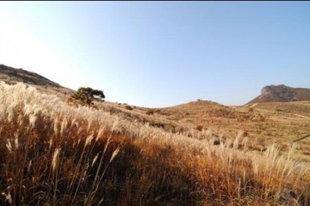 黄梅山郡立公園