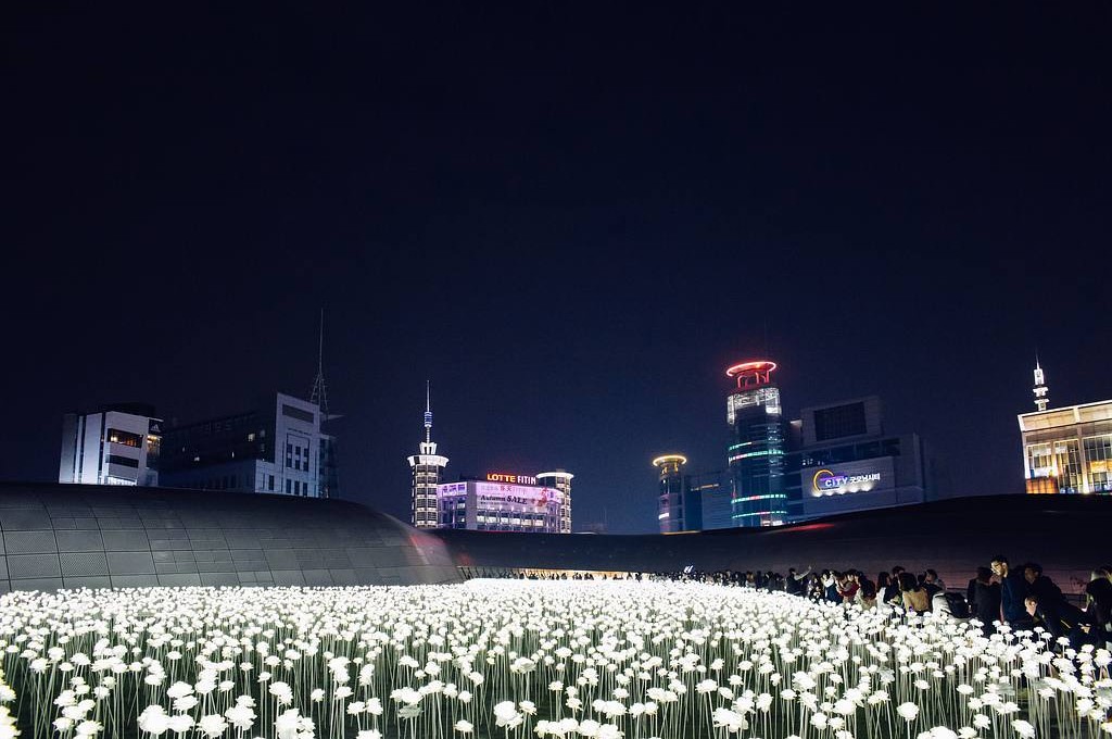 Korean Travel Romantic Evening Out At Lighting Festivals Around Seoul Trippose - Ddp White Rose Garden Seoul