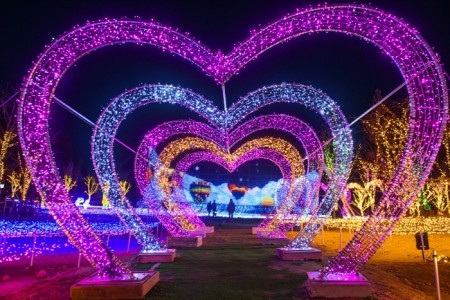 坡州プロバンス星の光祭り（파주프로방스 별빛축제）