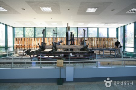 慶尚北道山林科学博物館（경상북도 산림과학박물관）
