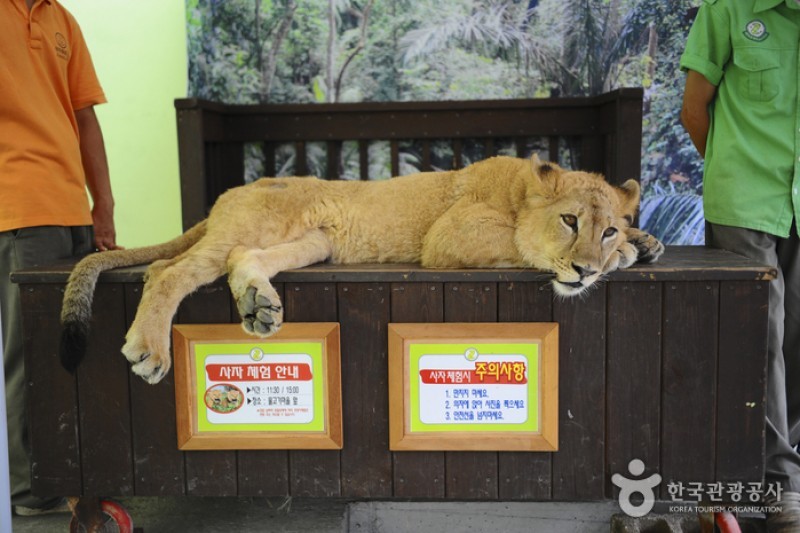 テーマ動物園ジュジュ Zoozoo 테마동물원 쥬쥬 테마동물원 쥬쥬 トリップポーズ