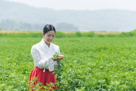 江華郡広報大使よすみまりと行く江華島ツアー