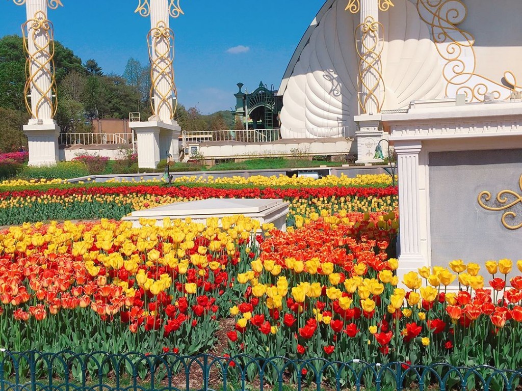 韓国旅行情報 1万本の花の祭典 エバーランドチューリップ祭りが3月16日より開催 トリップポーズ