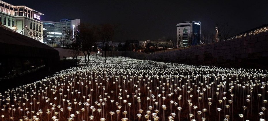 Seoul Korea Dec 7 2018 Led Rose Garden At Dongdaemun Design Stock Photo Picture And Royalty Free Image Image 135909676