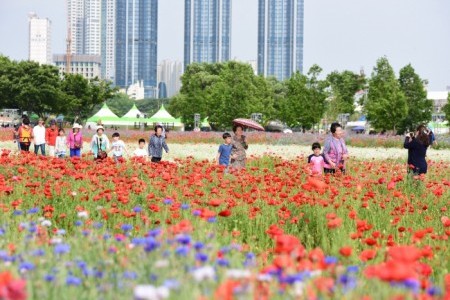 太和江 春の花大饗宴（태화강 봄꽃 대향연）