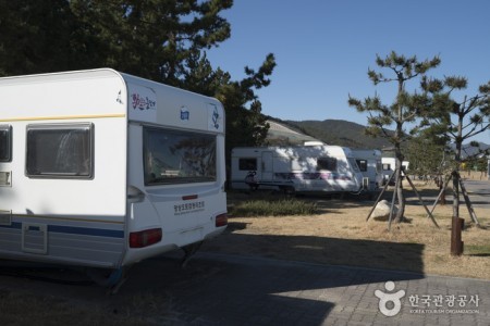 Mangsang Auto Camping Resort (망상오토캠핑리조트) [한국관광품질인증/Korea Quality]