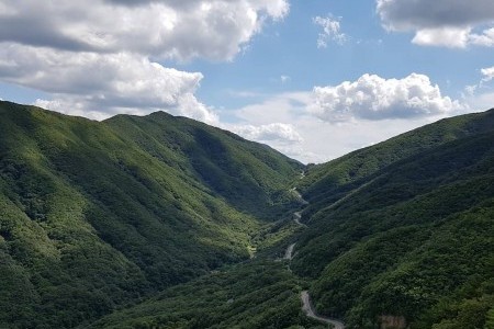 迦智山道立公园