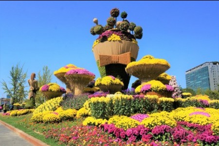 Goyang Autumn Flower Festival (고양가을꽃축제 2018)