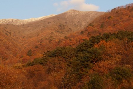 Jirisan-gil Sansuyu Village (지리산길 산수유마을)