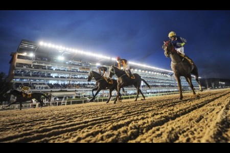 競馬公園への夜のお出かけ