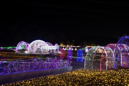 蔚山大公園玫瑰園星光慶典울산대공원 장미원 빛축제
