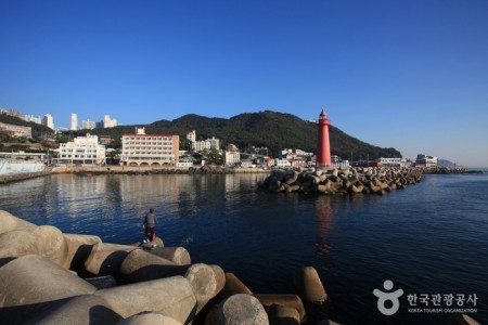 Cheongsapo Port (청사포)