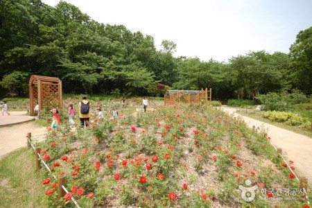 冠岳山公園 野外植物園（관악산공원 야외식물원）