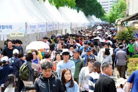 儒城温泉文化祭り（유성온천문화축제）