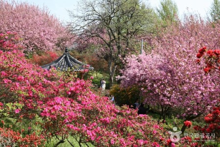 完山七峰（完山公園）（완산칠봉