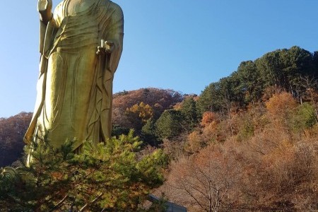 莲花寺연화사