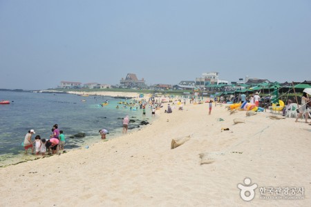 牛島 珊瑚海岸（西浜白沙）（우도 산호해변