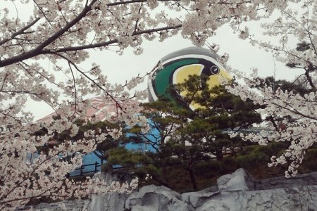 群山世界渡り鳥祭り