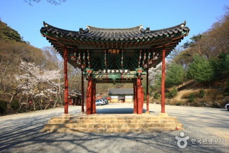 Uiseong Gounsa Temple (고운사 (의성))