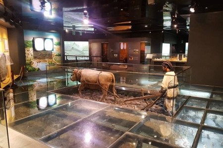 農業博物館（농업박물관）