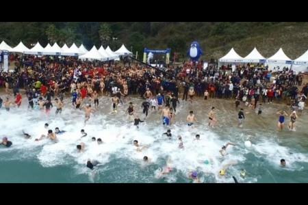 Geojedo International Penguin Swimming Festival 